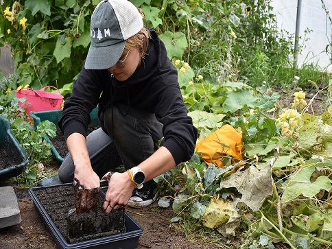 Student kneels in dirt in a garden